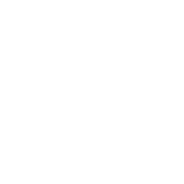 Gas Icon